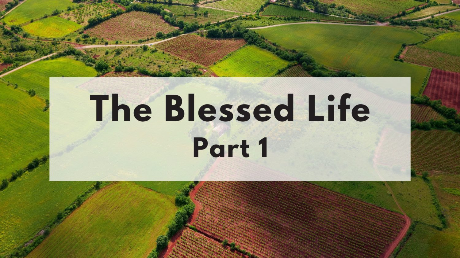 The Blessed Life (pt 1)