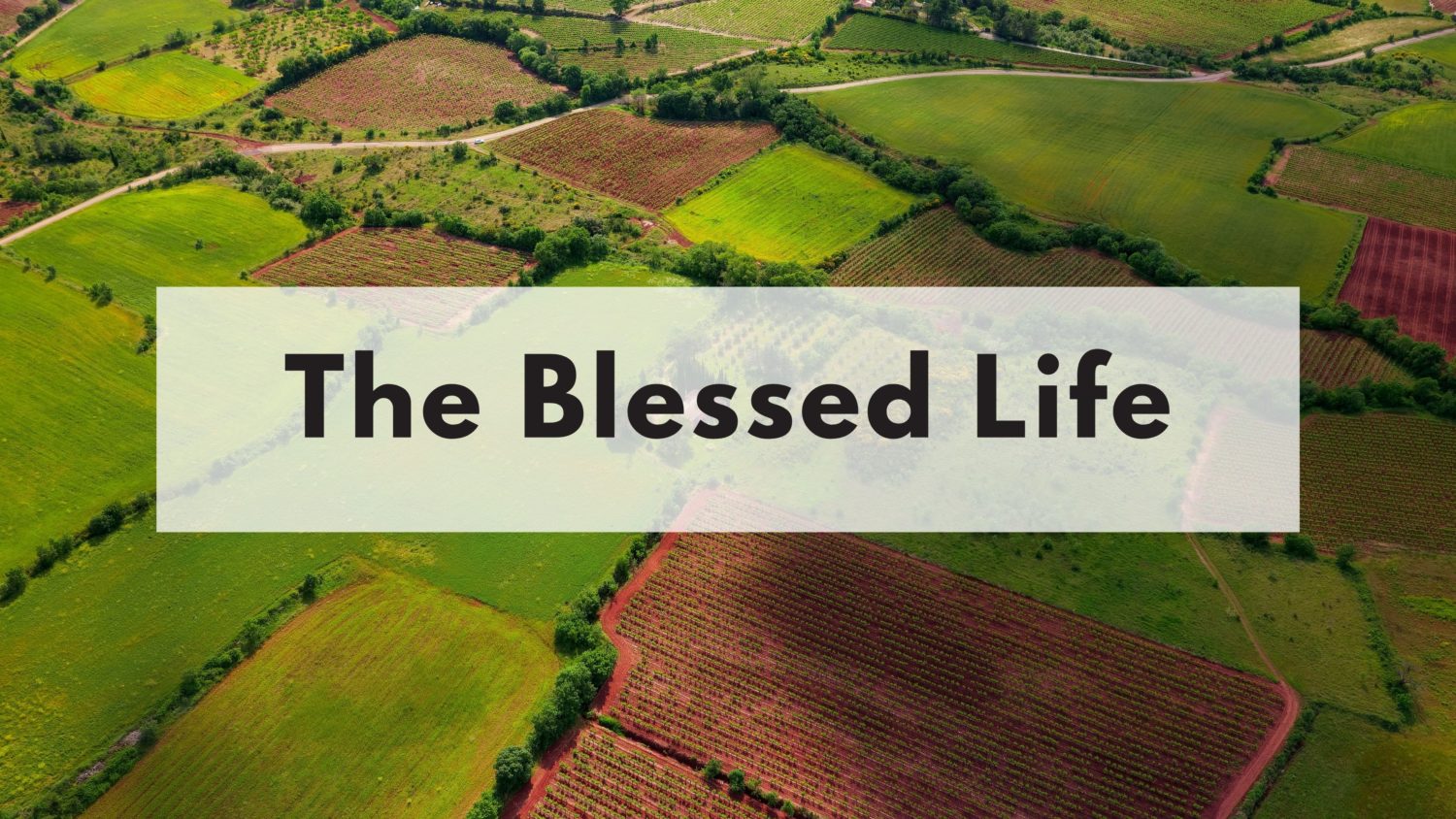 The Blessed Life (pt 3)