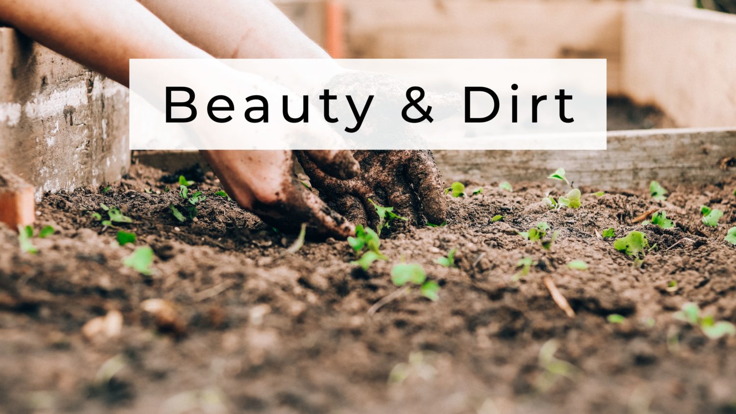 Beauty & Dirt // Pastor Heath McCoy