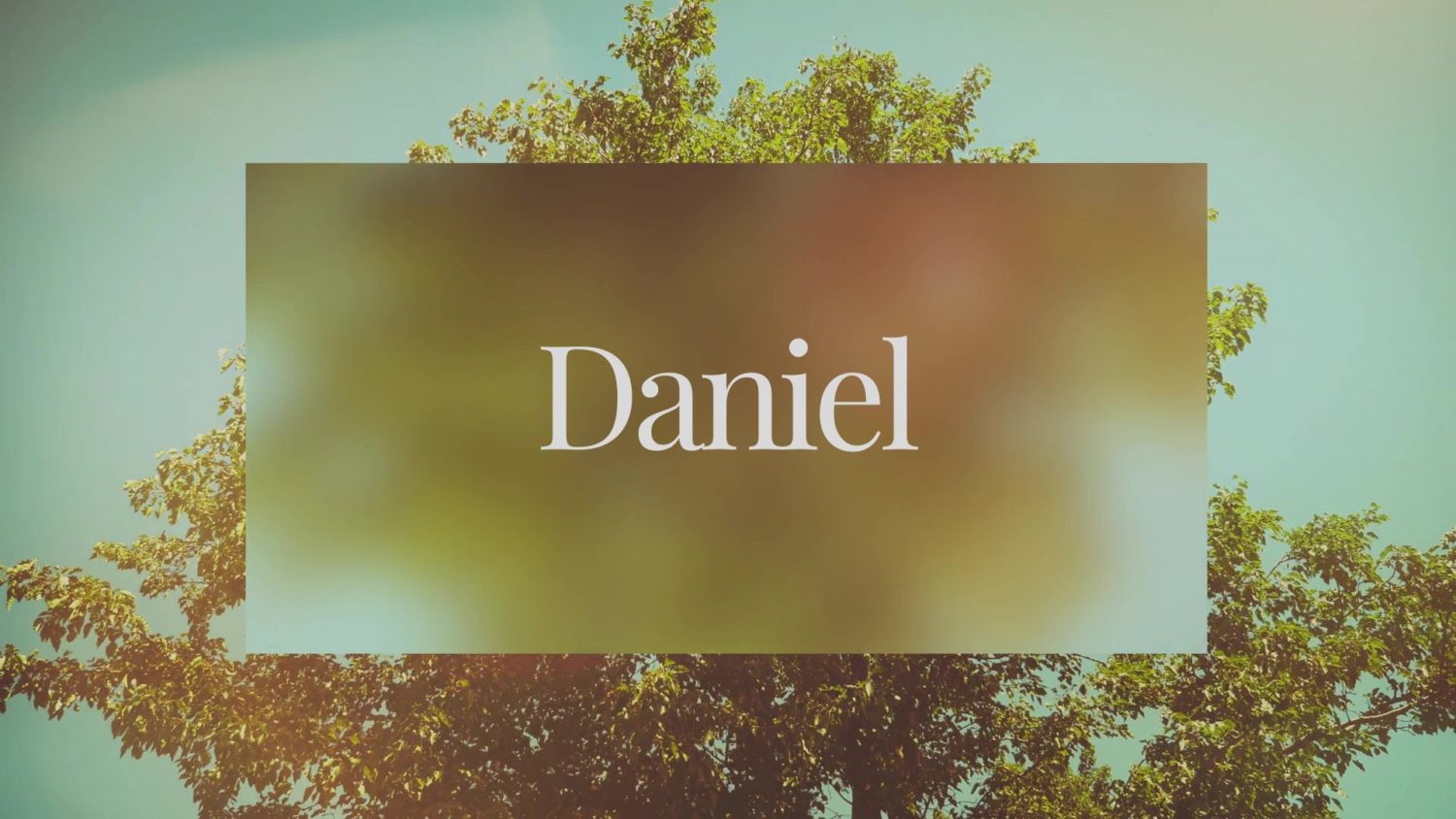 Until You Learn // Daniel pt. 4
